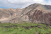  The valley leading to Changla - Ladakh